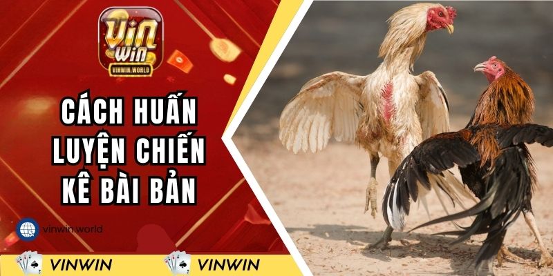 Cách huấn luyện chiến kê bài bản