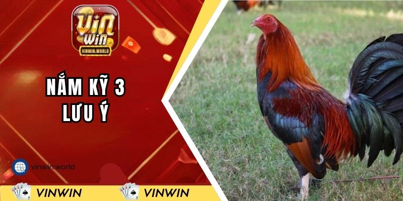 Nắm kỹ 3 lưu ý