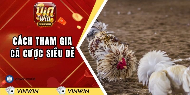 Cách tham gia cá cược siêu dễ