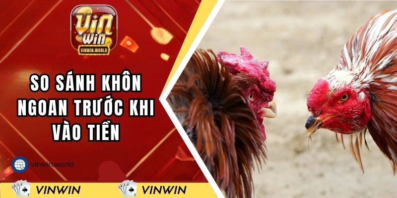 So sánh khôn ngoan trước khi vào tiền