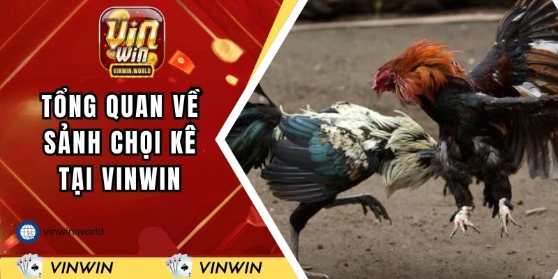 Tổng quan thông tin về sảnh cược chọi kê tại VINWIN
