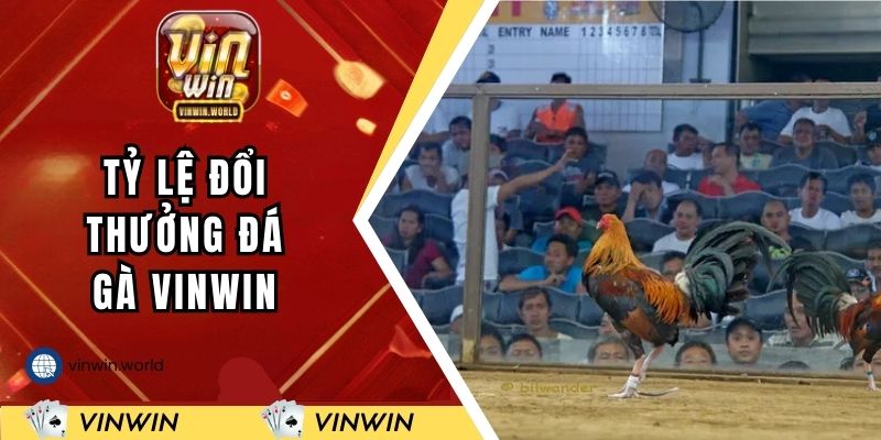 Các tỷ lệ đổi thưởng mới nhất của sân chơi đá gà tại VINWIN