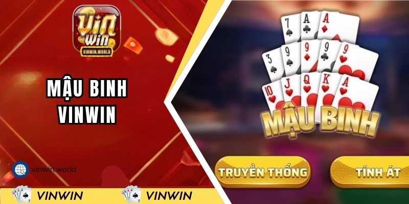 mau-binh-vinwin-dai-dien