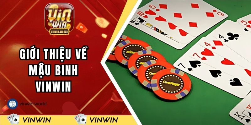 Giới thiệu về mậu binh VINWIN
