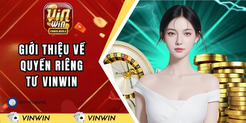 Tìm hiểu về quyền riêng tư VINWIN