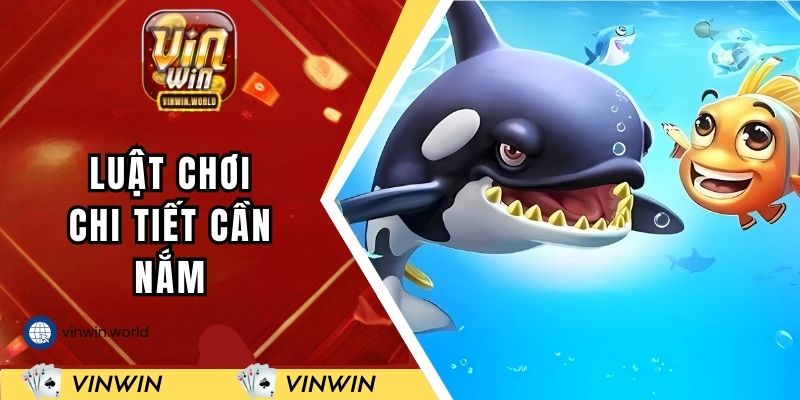 Luật chơi chi tiết cần nắm