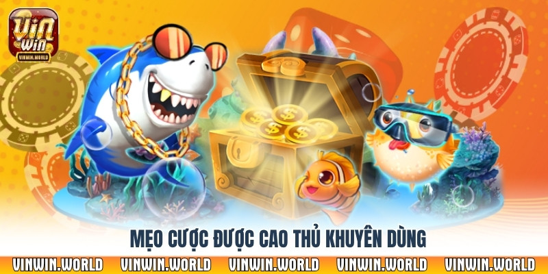 Mẹo cược được cao thủ khuyên dùng