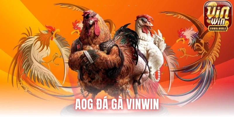 AOG Đá Gà Vinwin
