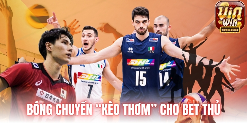 Bóng chuyền “kèo thơm” cho bet thủ