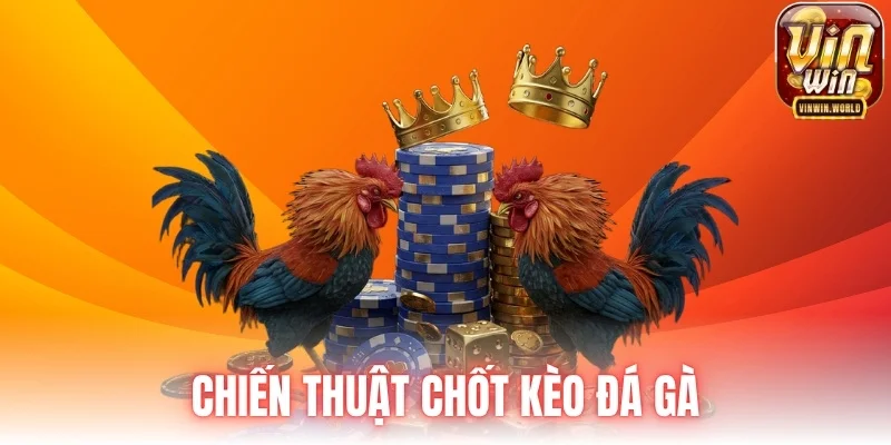 Chiến thuật chốt kèo đá gà