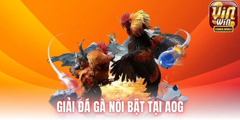 Giải đá gà nổi bật tại AOG