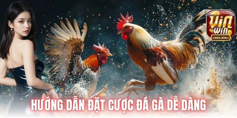 Hướng dẫn đặt cược đá gà dễ dàng