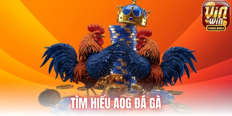 Tìm hiểu AOG đá gà