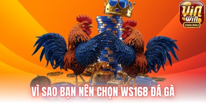 Vì sao bạn nên chọn WS168 đá gà